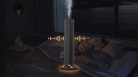 Aromatherapy Diffusers: Bridging the Gap between Nature and Modern Living